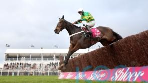 Jonbon ‘older and stronger’ for ground challenge at Sandown