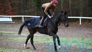 ‘Unbelievable’ Ile Est Francais in great shape for Boxing Day