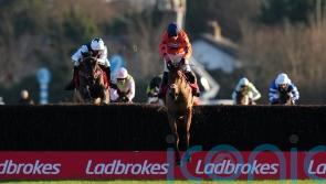 Defending champion Bravemansgame heads King George contenders