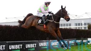 Limerick assignment looks ‘ideal’ for Gaelic Warrior