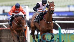 Cheltenham regulars return to kick off 2024