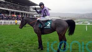 Stage Star back in the spotlight at Cheltenham