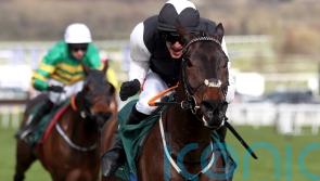 Cromwell deliberating Festival options for Flooring Porter