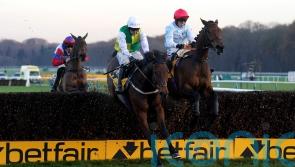Haydock and Doncaster under consideration for rising star Famous Bridge