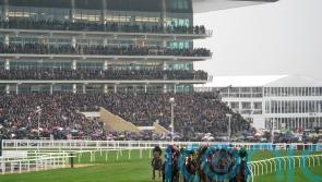 Theleme to prep for Cheltenham with outing on the Flat