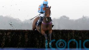 Clarence House hero Un De Sceaux ‘still wild’ in retirement