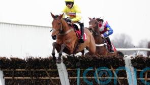 Nicholls mapping out next options for smart juveniles