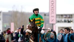 Cheltenham Festival novice chase entries include Iroko