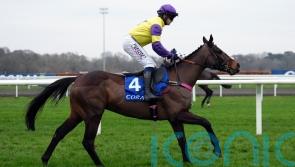 Kerry Lee planning to ‘shop around’ for Nemean Lion aim