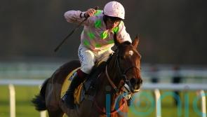 Royale Pagaille on Cotswold Chase trail for Gold-standard Williams