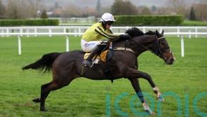 Road to the Triumph starts now for Burdett