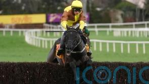 Mullins braced for Irish Gold Cup battle