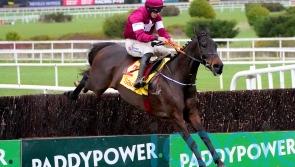 Ryanair tilt ‘more than likely’ for Conflated at Cheltenham
