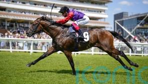 Reach For The Moon under the spotlight at Sedgefield