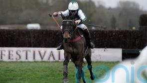 L’Homme Presse all set to push Gold Cup claims at Ascot