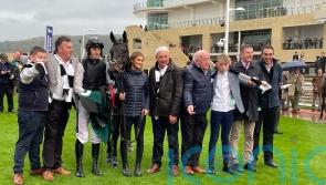 Cromwell to make late call on Flooring Porter’s Festival target