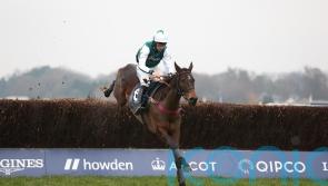 L’Homme Presse team able to take plenty of positives from Ascot second