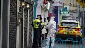 Gardai make 10th arrest over Blanchardstown killing