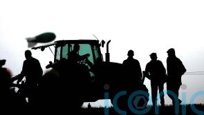 Ireland’s nature minister: ‘We can’t restore nature without active farmers’