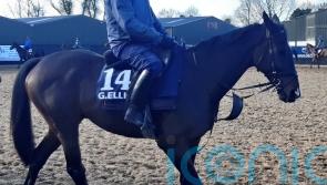 Elliott admits ‘awesome’ Galopin hard to top at Cheltenham