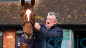 Nicholls ‘slightly favouring’ Albert Bartlett test for Captain Teague