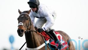 Champion Hurdle market rocked following Constitution Hill workout