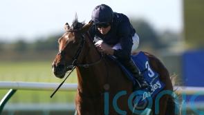 City Of Troy stars in initial list of Derby entries