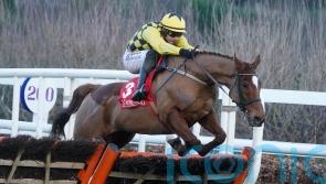 Bookies now wary of Cheltenham day one Mullins blitz
