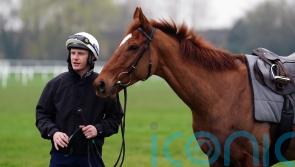 State Man &lsquo;doing everything right&rsquo; ahead of Champion Hurdle