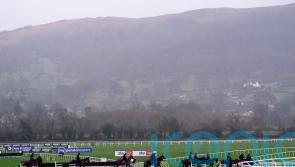 Cheltenham call morning inspection for cross-country course