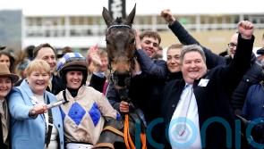 El Fabiolo’s departure offers Cheltenham reprieve for bookmakers