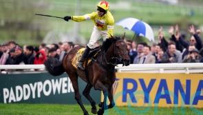 Protektorat takes flight for Skeltons in Ryanair
