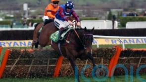 Staying star Paisley Park bows out at Cheltenham