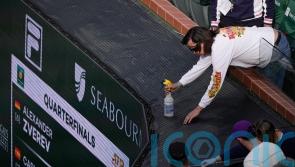 Invasion of bees unable to take the sting out of Carlos Alcaraz at Indian Wells