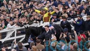 Galopin Des Champs unstoppable in Gold Cup march