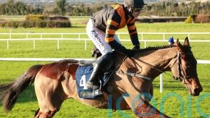 Rockett-powered Mullins contender has Irish handicapper ‘shaking in his boots’
