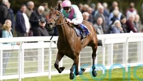 Irish Oaks runner-up Bluestocking ‘is back and looks great’