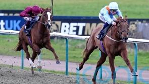 ‘Revelation’ Dear My Friend out to continue hot streak