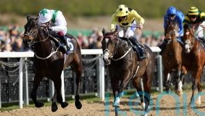 Cuban Tiger earns his stripes with Burradon victory