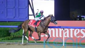 Laurel River in full flow for Dubai World Cup rout