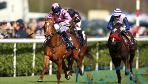 Cunha has Royal Ascot ambitions for Zminiature