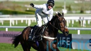 Nico de Boinville says Constitution Hill &lsquo;feeling a bit sorry for himself&rsquo;