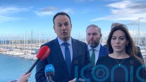 Calls for government action on insurance reform as premiums continue to rise