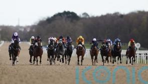 All-weather fields encouraging but jumps racing &lsquo;short&rsquo; on numbers