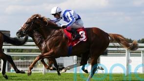 Devil’s Point takes Djebel test on seasonal bow