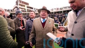 Henderson hoping Sir Gino can put stable’s Cheltenham woes to one side