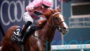‘Loftier targets and less racing’ the plan for Live In The Dream
