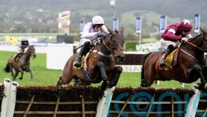 Golden Ace in imperious form on return to Cheltenham