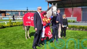 White Birch enjoys ‘lovely’ comeback win at the Curragh