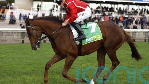 Shuwari backed to make up for lost time later in season